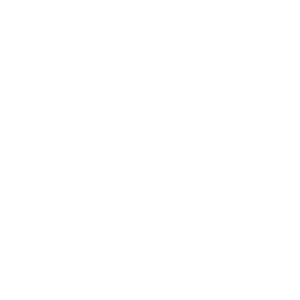 Ai Remap | ECU Remapping Birmingham