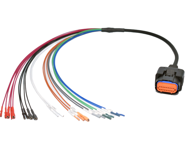 Trasdata Breakout Xl Egpt Bench Cable 1 5m